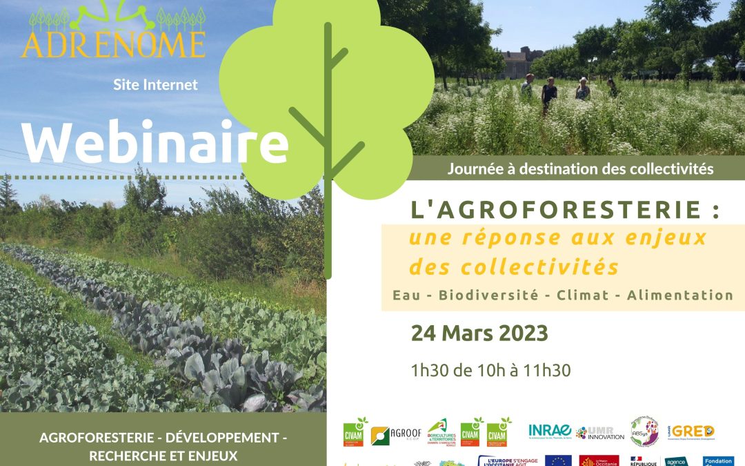 Webinaire « L’agroforesterie, une réponse aux enjeux des collectivités » le 24 mars 2023 de 10h à 11h30